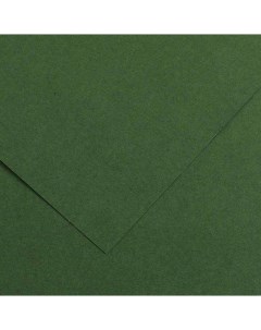 Бумага тонированная Iris Vivaldi 50х70 см 120 г 31 темно зеленый Canson
