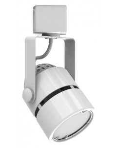 Трековый светодиодный светильник для магнитного шинопровода Maytoni Track lamps TR012 2 20W3K B Gauss