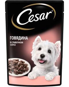 Влажный корм для взрослых собак с говядиной в сливочном соусе 85 г Cesar