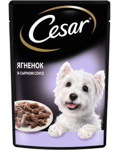 Влажный корм для взрослых собак с ягненком в сырном соусе 85 г Cesar