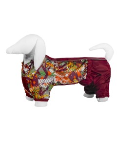 Дождевик для собаки с рисунком Абстракция для породы такса 1 Yami-yami одежда
