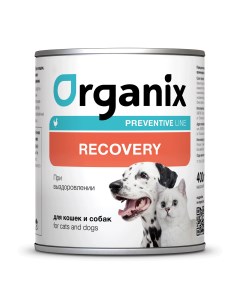 Recovery для кошек и собак в период анорексии выздоровления и послеоперационного восстановления 240  Organix preventive line консервы