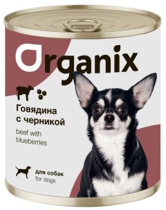Для собак Заливное из говядины с черникой 100 г Organix (консервы)