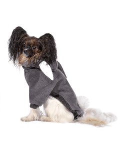 Толстовка Фатсо для собак S Tappi одежда