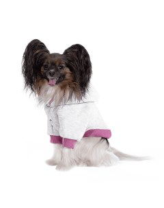 Толстовка для собак Флип для собак серая с розовым M Tappi одежда