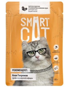 Паучи для взрослых кошек и котят кусочки курочки со шпинатом в нежном соусе 85 г Smart cat