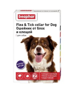 Ошейник от блох и клещей для собак фиолетовый 65 см 50 г Beaphar