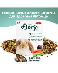 Корм для грызунов KARAOTE для кроликов сух 850г Fiory