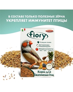 Корм для птиц Смесь для экзотических птиц 400г Fiory