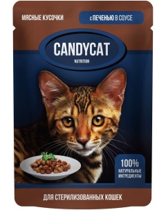 Влажный корм для стерилизованных кошек CandyCat Печень в соусе 85г Ип михайлова м.в.
