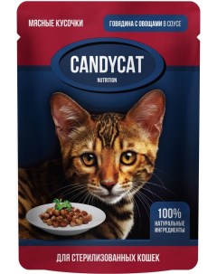 Влажный корм для стерилизованных кошек CandyCat Говядина с овощами в соусе 85г Ип михайлова м.в.