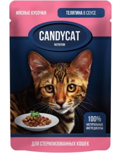 Влажный корм для стерилизованных кошек CandyCat Телятина в соусе 85г Ип михайлова м.в.
