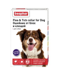 Ошейник для собак всех пород от блох и клещей фиолетовый 65 см Beaphar