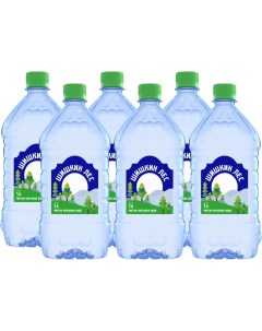 Вода питьевая негазированная 1л упаковка 6 шт Шишкин лес