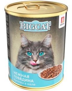 Влажный корм для кошек Зоогурман Big Cat с говядиной 350г Елецкий мясокомбинат