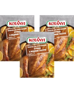 Приправа Kotanyi для приготовления курицы в медовой глазури 20г упаковка 3 шт Котани