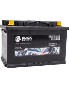 Аккумуляторная батарея Black horse
