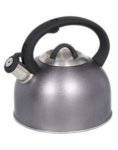Чайник для плиты MSY 075B фиолетовый Daniks