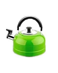 Чайник для плиты IRH 413 зеленый Irit
