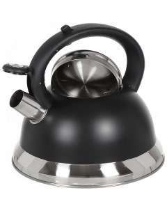 Чайник для плиты GS 04017 черный 355353 Daniks