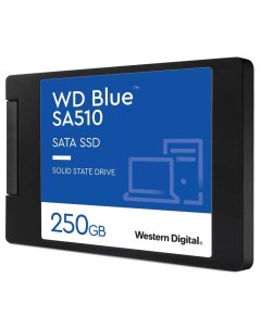 SSD накопитель SATA2 5 250GB BLUE SA510 WDS250G3B0A Western digital