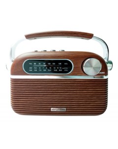 Радиоприёмник H PSR200 коричневый серебристый Hyundai