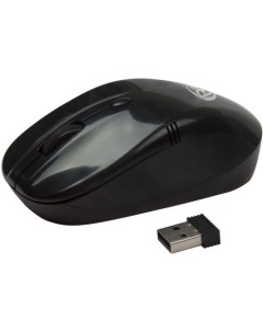 Компьютерная мышь RMW 111 black Ritmix
