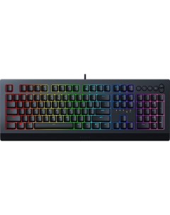 Клавиатура Cynosa V2 RZ03 03400700 R3R1 Razer