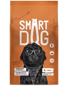 Корм для взрослых собак крупных пород с индейкой 3 кг Smart dog