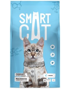 Для стерилизованных кошек с лососем 5 кг Smart cat