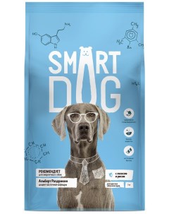 Корм для взрослых собак с лососем и рисом 18 кг Smart dog
