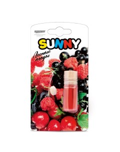 Ароматизатор воздуха подвесной Sunny Лесные ягоды Runway