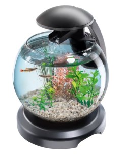 Casсade Globe Круглый аквариум Tetra
