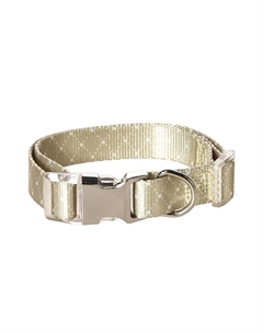 Ошейник для собак Beige S 1,5х30-45см бежевый Foxie