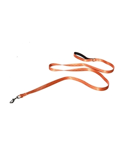 Поводок для собак Fantasy 1,9х200см Foxie