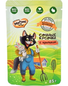 Влажный корм для кошек Мнямс Фермерская ярмарка сочные кусочки с кроликом 85г упаковка 12 шт Visan industrias zootecnicas