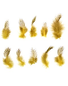 Набор перьев для декора 10 шт размер 1 шт 5 2 см цвет желтый с коричневым Школа талантов
