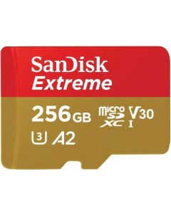 Карта памяти MicroSDXC 256GB SDSQXAV 256G GN6MN Class 10 UHS I A2 C10 V30 U3 Extreme 190MB s Sandisk