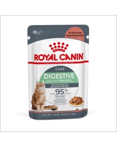Корм для кошек Digestive Care для здоровья пищеварительной системы соус пауч 85г Royal canin