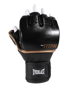 Перчатки тренировочные Titan Grappling SM P00003111 черный Everlast