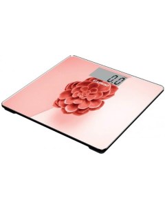 Весы напольные SSP6041 розовый красный рисунок Starwind