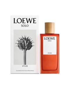 Solo Atlas Loewe