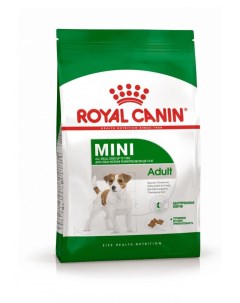 Сухой корм для мелких собак до 8 лет Mini Adult 800 г Royal canin
