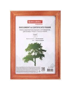 391217 цена за 10 шт Рамка 15х20 см дерево багет 18 мм Pinewood красное дерево стекло подставка 3912 Brauberg