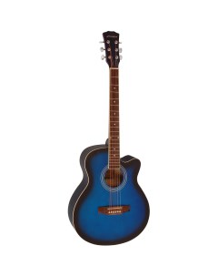 Гитара акустическая E4020 BLS синий Elitaro
