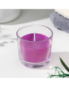Свеча ароматическая в стакане алания Nobrand