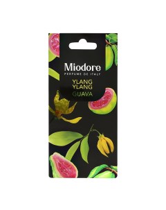 Саше ароматическое AROMA RICHE Ylang ylang guava Miodore