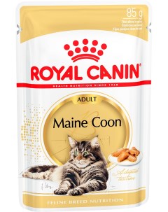 Влажный корм для кошек Maine Coon Adult 0 085 кг Royal canin