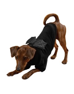 Толстовка Дракула для собак черный L Tappi одежда