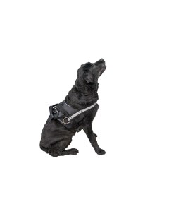 Шлейка для служебных собак тяговая Kombo черная 1 Yami yami амуниция